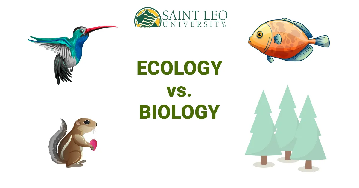 Ecology vs. Biology: What's the Difference? | Saint Leo University